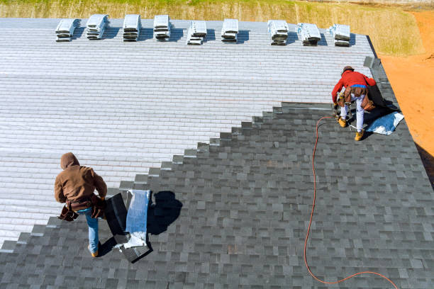 Best Roof Insulation Installation  in Olympia Fields, IL