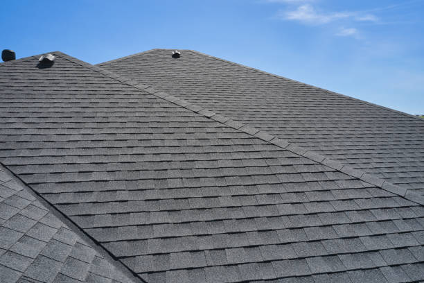 Best Roof Coating and Sealing  in Olympia Fields, IL